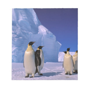 Antarctica, Australian Antarctic Territory, 7 Notepad
