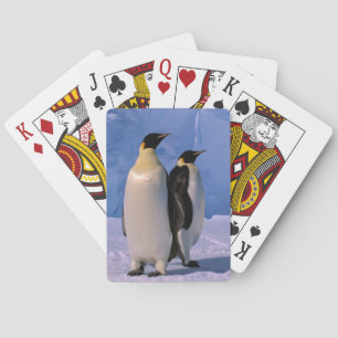 Antarctica, Australian Antarctic Territory, 7 Playing Cards