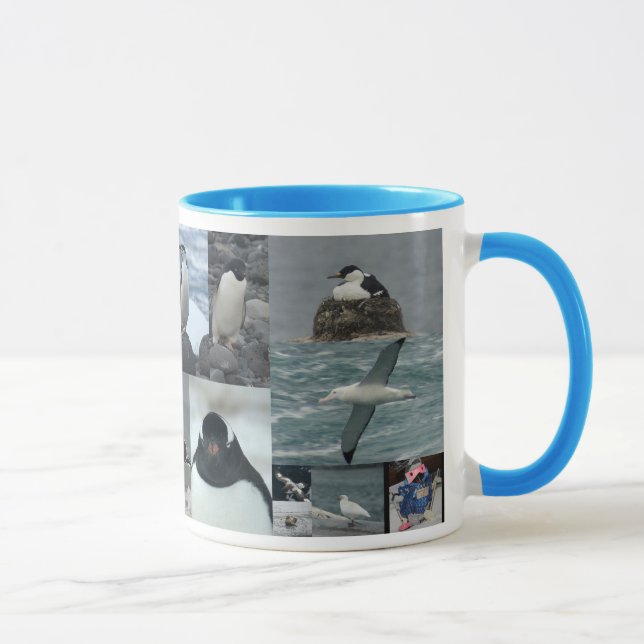 Antarctica Birds Mug (Right)