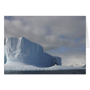 Antarctica, Bransfield Strait, Afternoon sun 2