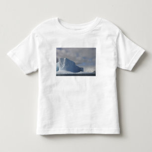 Antarctica, Bransfield Strait, Afternoon sun 2 Toddler T-Shirt