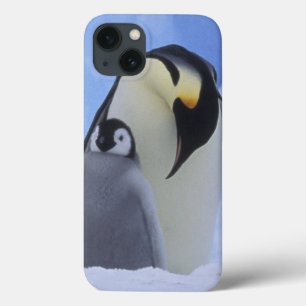 Antarctica. Emperor penguins and chick iPhone 13 Case