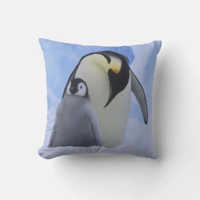 Antarctica. Emperor penguins and chick Cushion (Front)