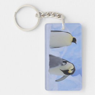 Antarctica. Emperor penguins and chick Key Ring