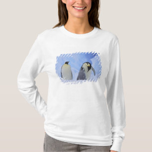 Antarctica. Emperor penguins and chick T-Shirt