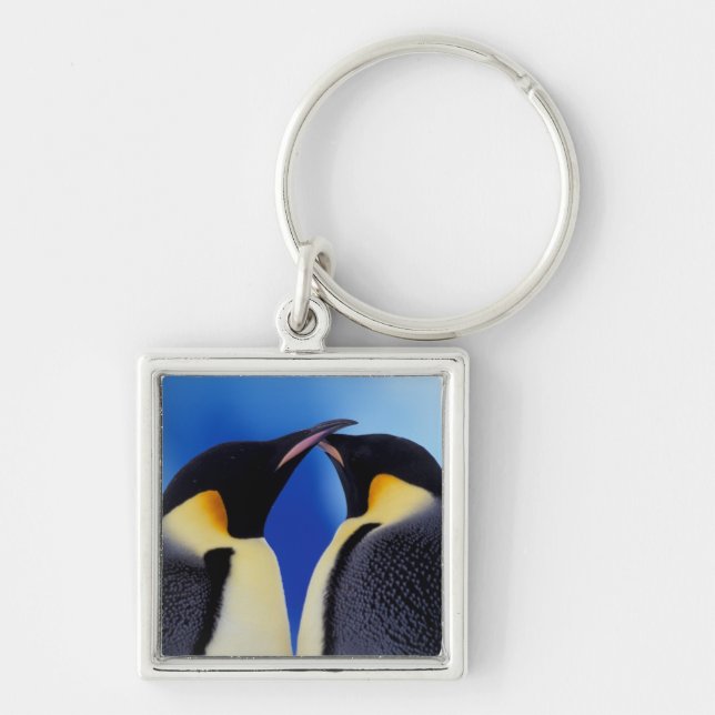 Antarctica, Emperor Penguins Key Ring (Front)