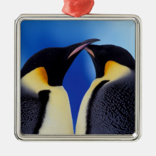 Antarctica, Emperor Penguins Metal Tree Decoration