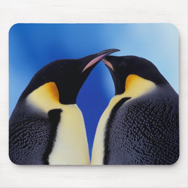 Antarctica, Emperor Penguins Mouse Mat (Front)