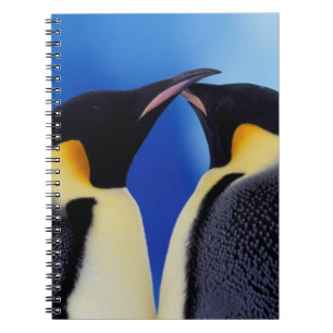 Antarctica, Emperor Penguins Notebook