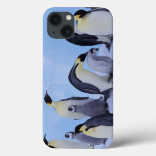 Antarctica, Emporer Penguin ((Aptenodytes iPhone 13 Case