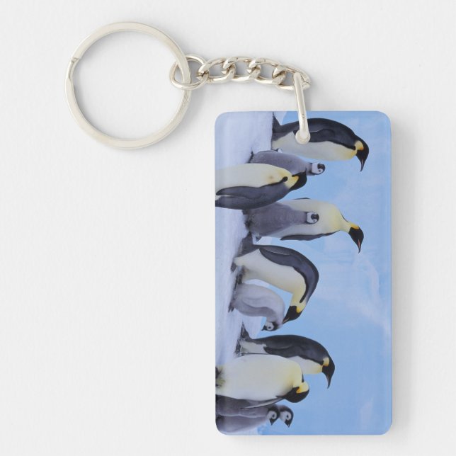 Antarctica, Emporer Penguins Key Ring (Front)