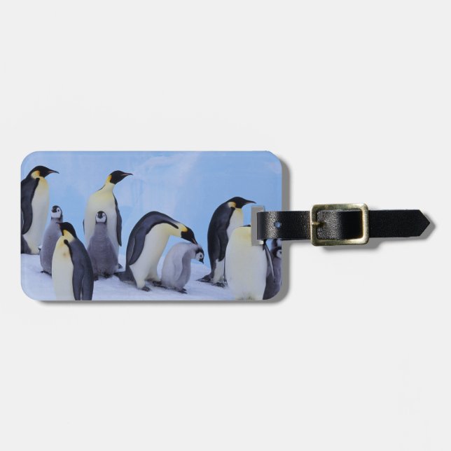 Antarctica, Emporer Penguins Luggage Tag (Front Horizontal)