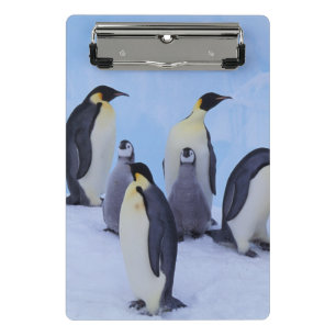 Antarctica, Emporer Penguins Mini Clipboard