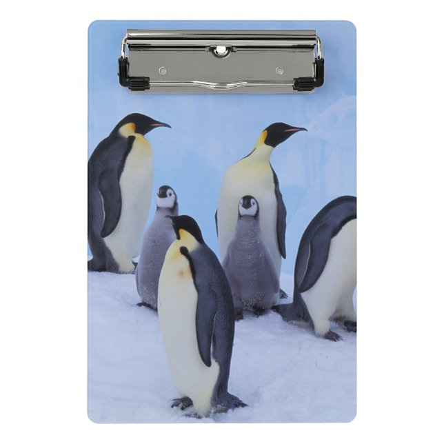 Antarctica, Emporer Penguins Mini Clipboard (Front)