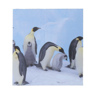 Antarctica, Emporer Penguins Notepad