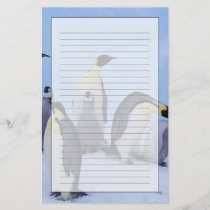 Antarctica, Emporer Penguins Stationery