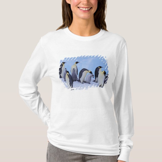 Antarctica, Emporer Penguins T-Shirt (Front)