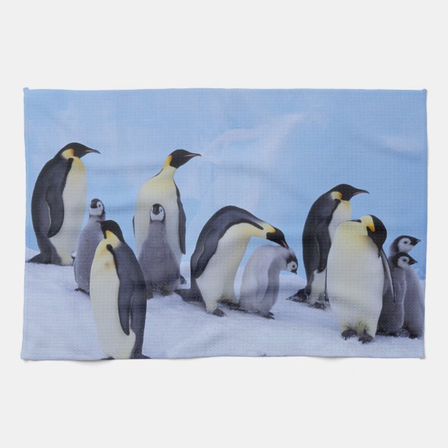 Antarctica, Emporer Penguins Tea Towel (Horizontal)