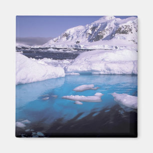 Antarctica. Expedition through icescapes 2 Magnet
