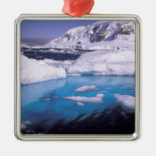 Antarctica. Expedition through icescapes 2 Metal Tree Decoration