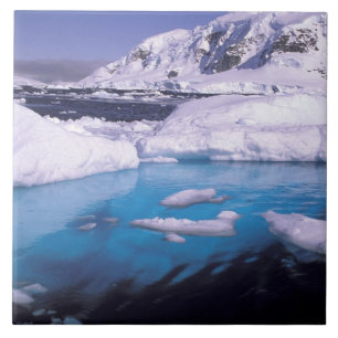 Antarctica. Expedition through icescapes 2 Tile