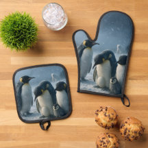 Antarctica, huddle emperor, penguin family met and