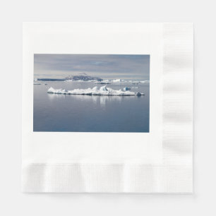 Antarctica landscape napkin
