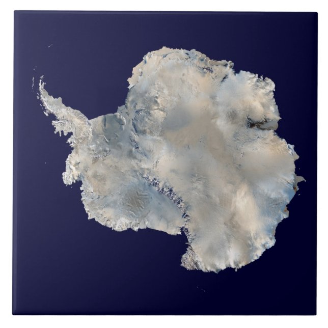 Antarctica (NASA Blue Marble Imagery) Tile (Front)
