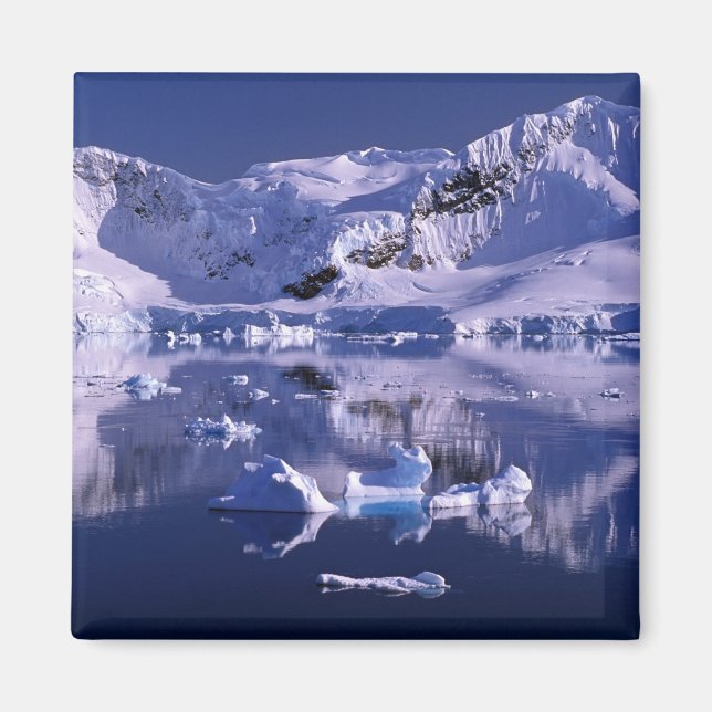 Antarctica, Paradise Bay Magnet (Front)