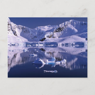 Antarctica, Paradise Bay Postcard