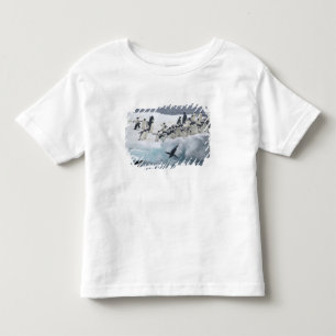 Antarctica, Paulet Island. Adelie penguins Toddler T-Shirt