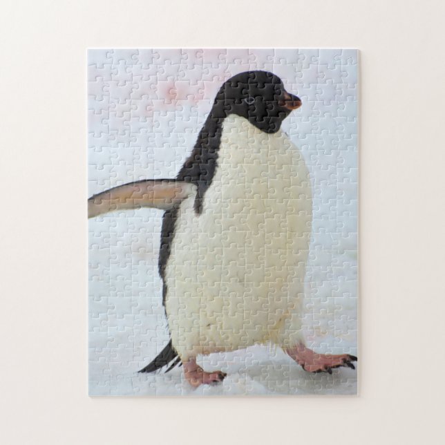 Antarctica. Petermann Island. Adelie penguin Jigsaw Puzzle (Vertical)