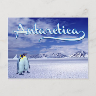 Antarctica Postcard