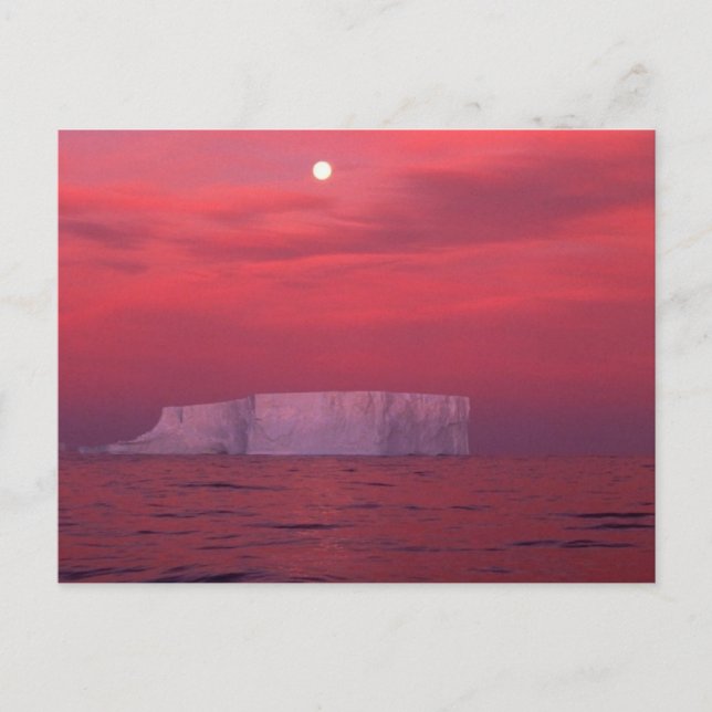 Antarctica Postcard (Front)
