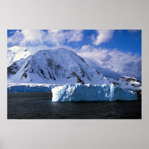Antarctica Poster
