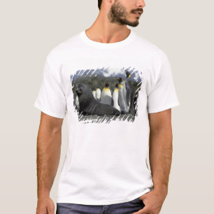 Antarctica, South Georgia Island. Antarctic fur T-Shirt
