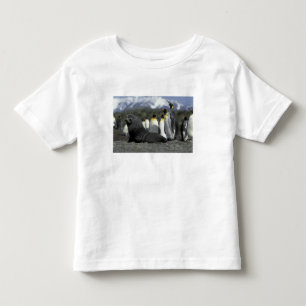 Antarctica, South Georgia Island. Antarctic fur Toddler T-Shirt