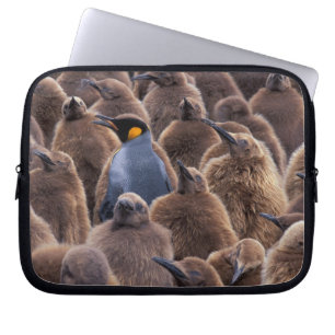 Antarctica, South Georgia Island, King penguins Laptop Sleeve