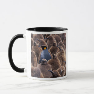 Antarctica, South Georgia Island, King penguins Mug