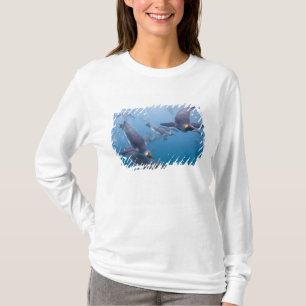 Antarctica, South Georgia Island (UK), 2 T-Shirt