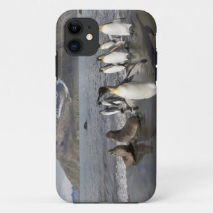 Antarctica, South Georgia Island (UK), Antarctic 2 iPhone 11 Case