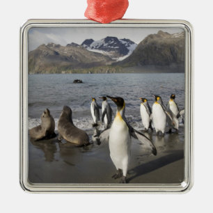 Antarctica, South Georgia Island (UK), Antarctic 2 Metal Tree Decoration