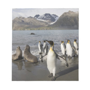 Antarctica, South Georgia Island (UK), Antarctic 2 Notepad