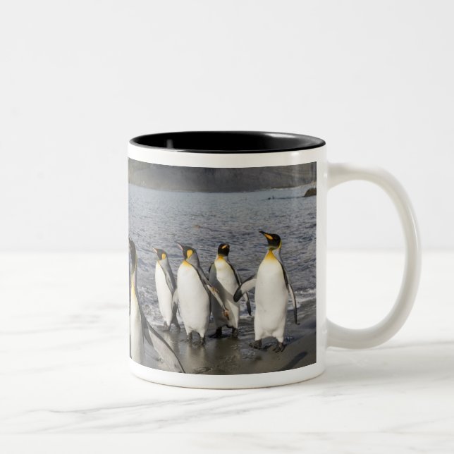 Antarctica, South Georgia Island (UK), Antarctic 2 Two-Tone Coffee Mug (Right)