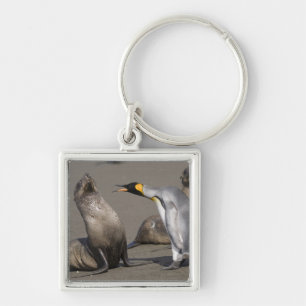 Antarctica, South Georgia Island (UK), King 3 Key Ring