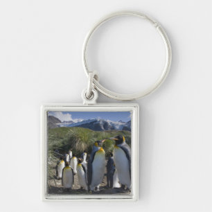 Antarctica, South Georgia Island UK), King Key Ring
