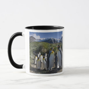 Antarctica, South Georgia Island UK), King Mug