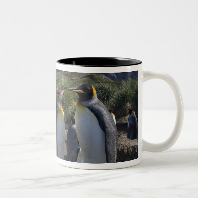 Antarctica, South Georgia Island UK), King Two-Tone Coffee Mug (Right)