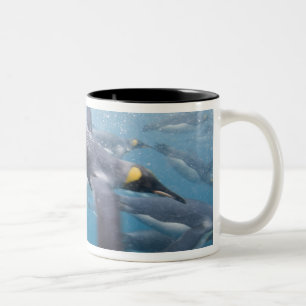 Antarctica, South Georgia Island UK Two-Tone Coffee Mug