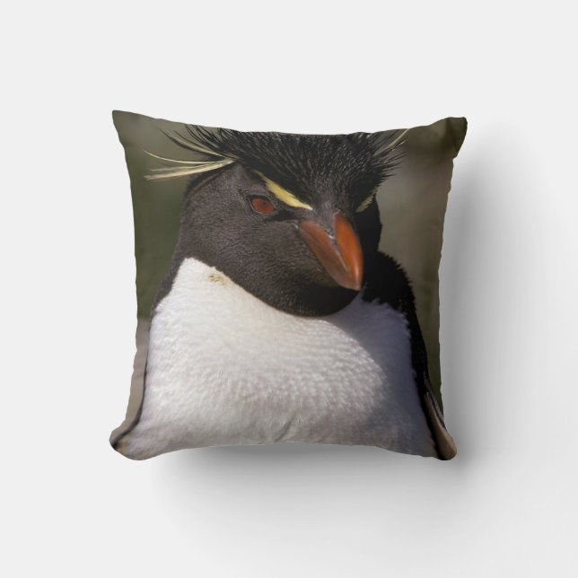 Antarctica, Sub-Antarctic Islands, South 5 Cushion